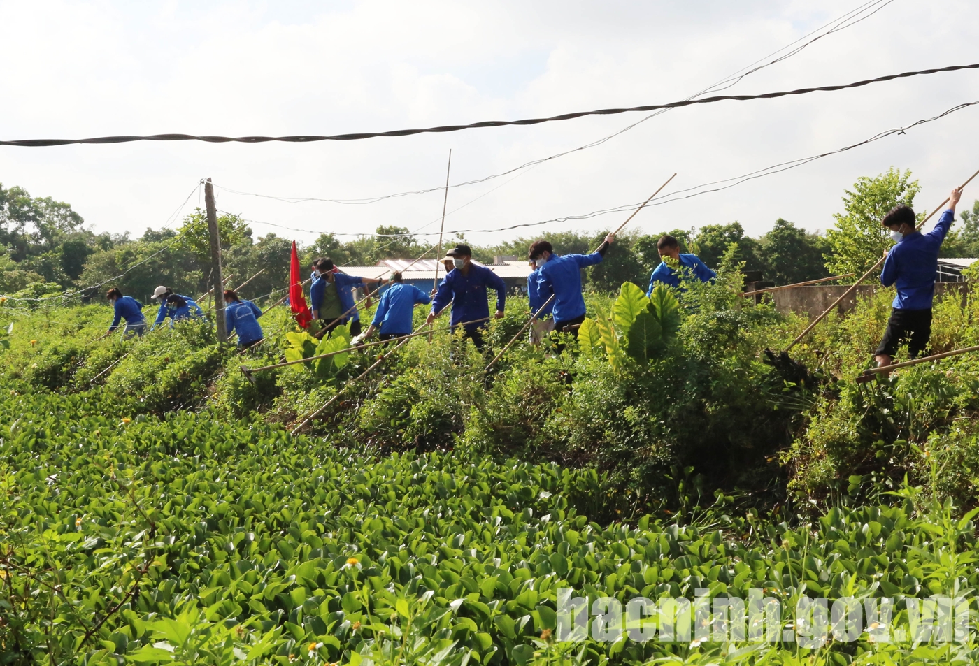 北宁省启动2022年“青年志愿者之夏”活动高峰期