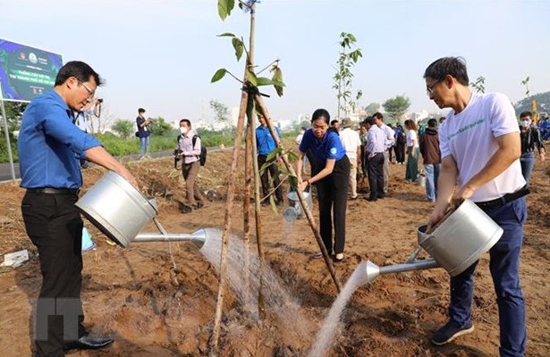 胡志明市启动城市植树活动 实施“百万棵树——绿色越南”计划