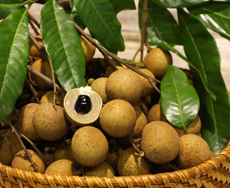 和平省将首批山水龙眼出口欧洲