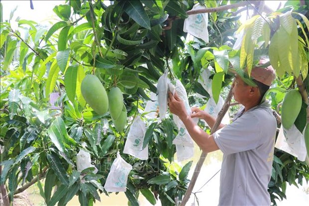 启用种植区编码签发和管理信息系统及数据库