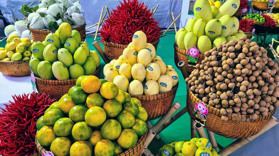 越南对中国市场出口新鲜水果适应新规定