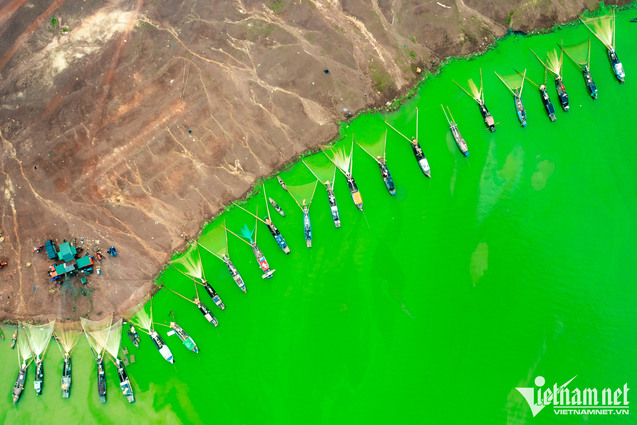 治安湖神奇的绿藻季节（组图）