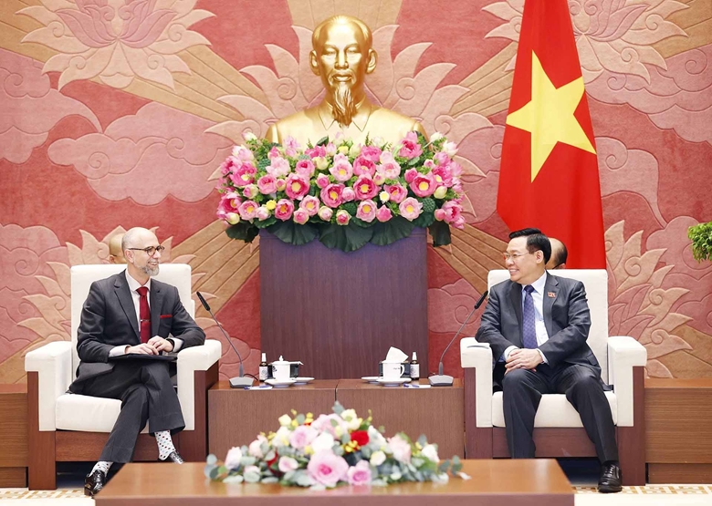 进一步推动越加两国全面伙伴关系持续积极发展