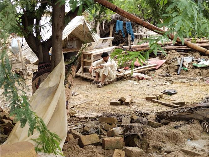 强降雨已致巴基斯坦千余人死亡