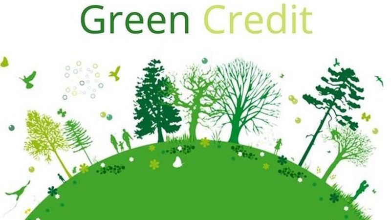 越南推进绿色信贷