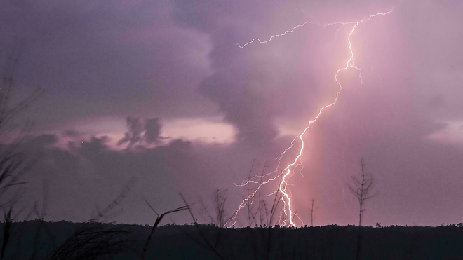 印度比哈尔邦雷电暴雨致17人死亡