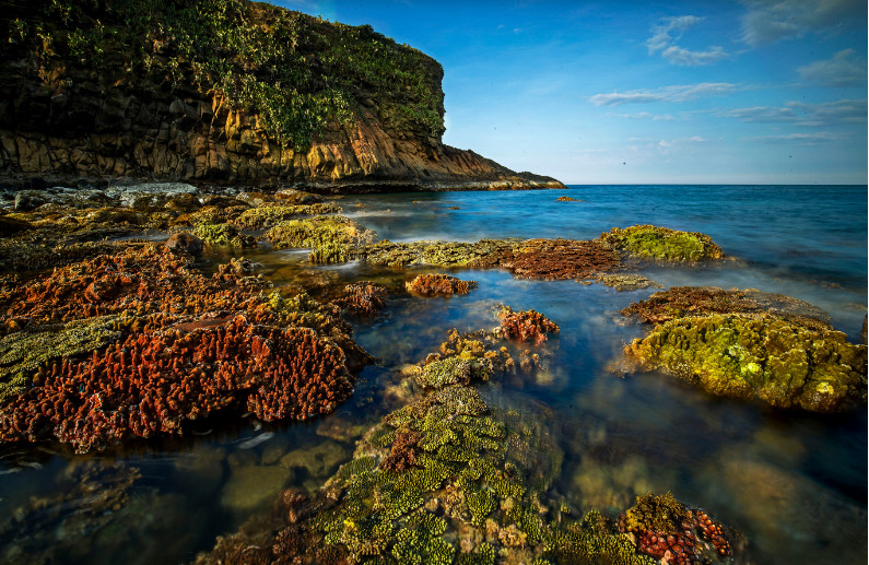 南中部美轮美奂的露天珊瑚林