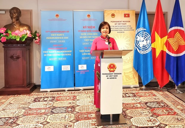 越南愿意为联合国各项工作做出更多的贡献