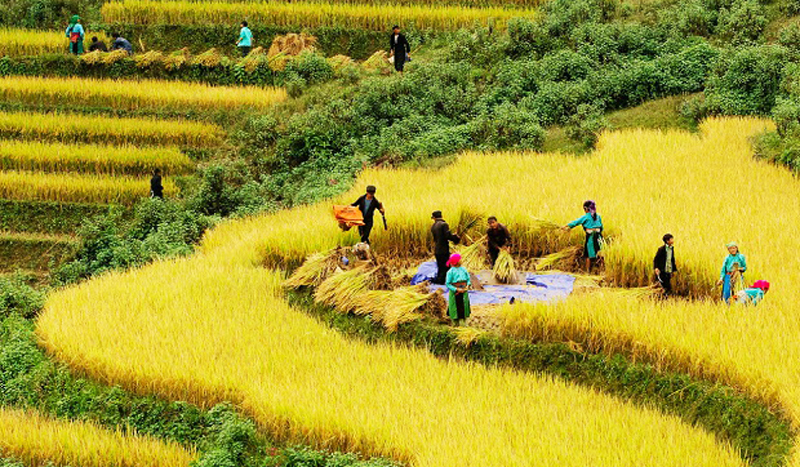 2022年北河秋季文化节吸引大量游客