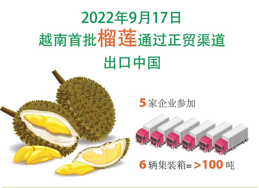【Infographic】：越南首批榴莲通过正贸渠道出口中国