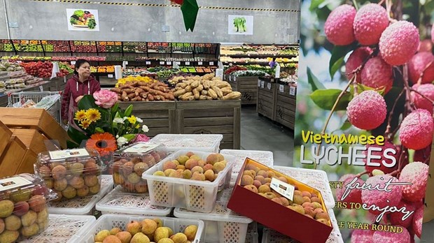 2022年前8个月越南对澳大利亚的出口额同比增长42