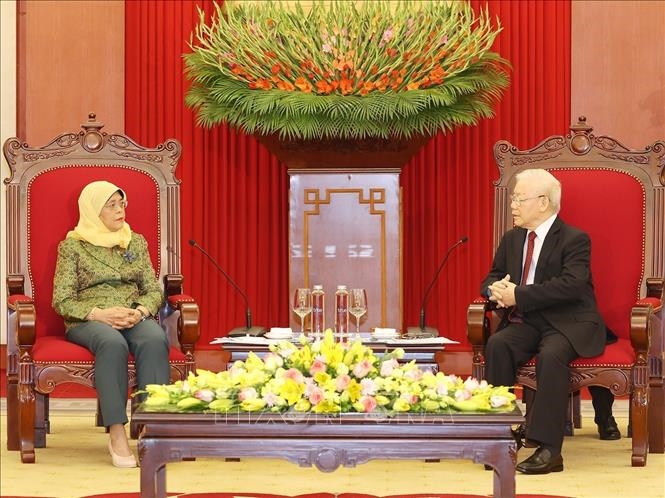 越南高度重视越新战略伙伴关系