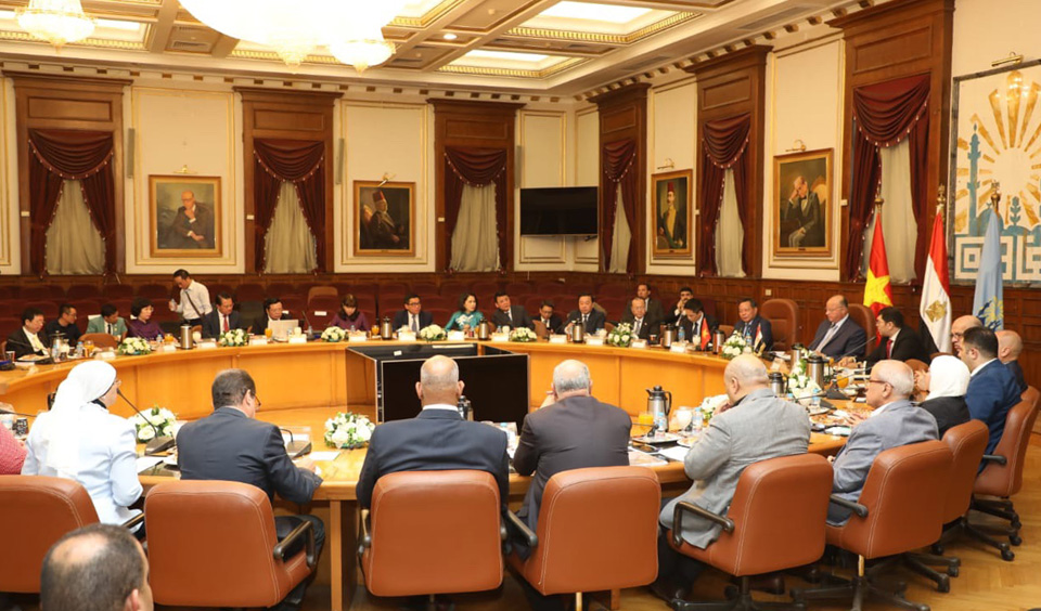 促进河内和开罗两市的全面友好合作关系