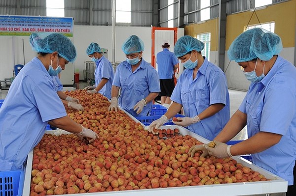 越南产品和品牌给新加坡企业留下深刻印象