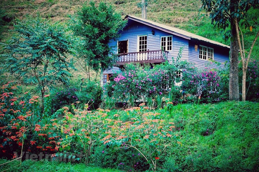 大叻市各类花卉竞相绽放吸引众多游客前来参观