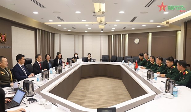 越南与新加坡强化防务合作 致力于共同利益