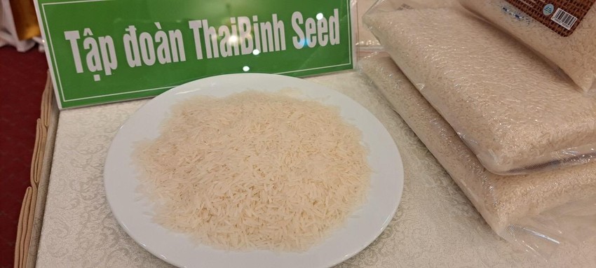 TBR39香米获得越南最佳大米比赛冠军