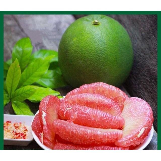 槟椥省即将向美国市场出口绿皮柚