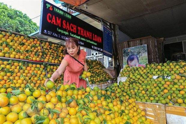 2022年“一乡一品”北部山区和丘陵地区商品展销会开幕