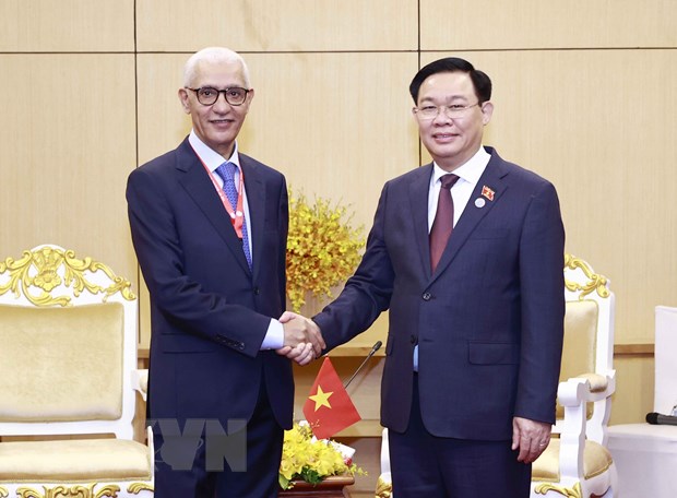 越南和摩洛哥加强双边和多边渠道的合作