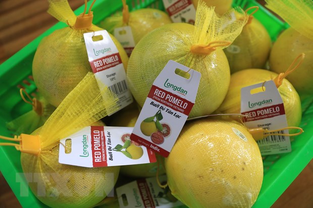 和平省向英国出口首批红心柚