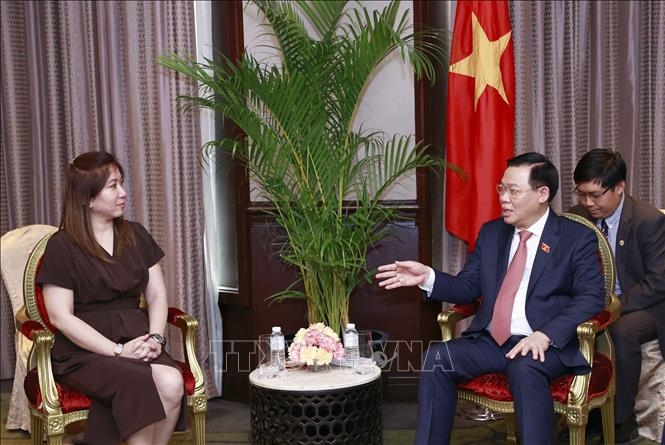 越南国会主席王廷惠会见菲律宾各大公司和集团领导