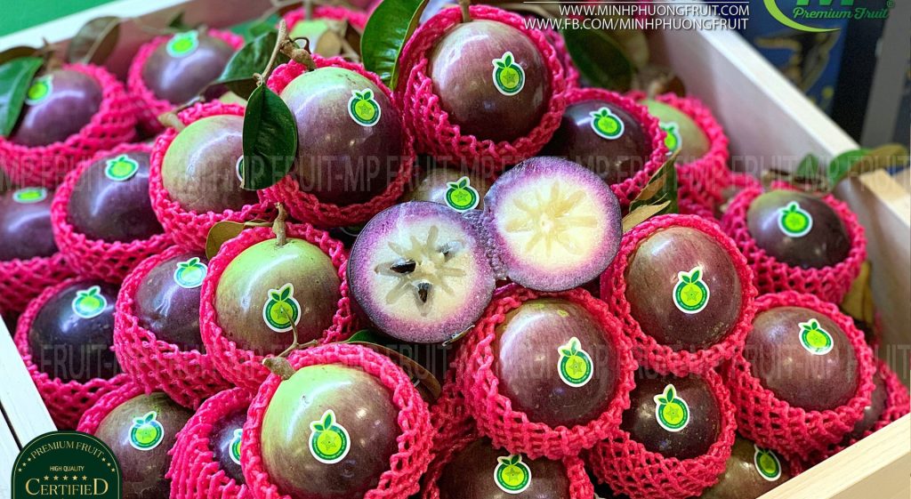 朔庄省紫色星苹果出口美国市场
