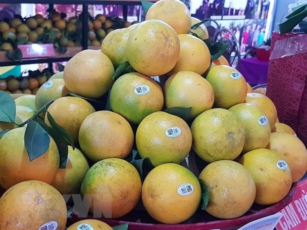 越南和平省高峰橙首次出口英国