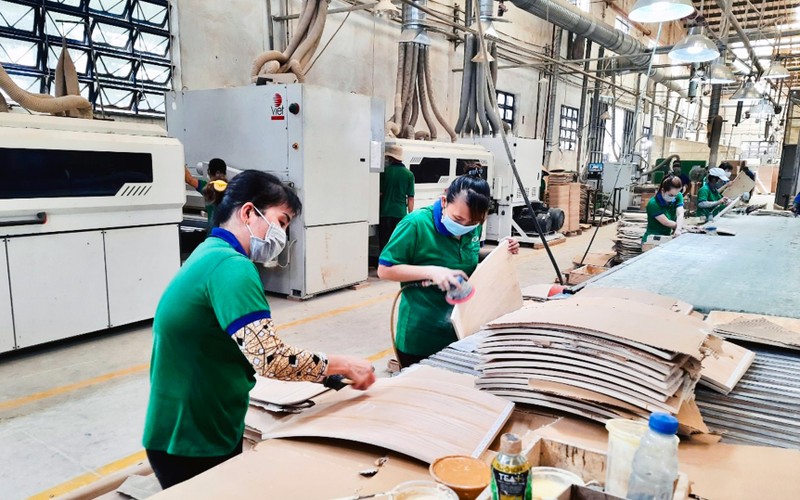 肯定越南在全球经济一体化中的地位