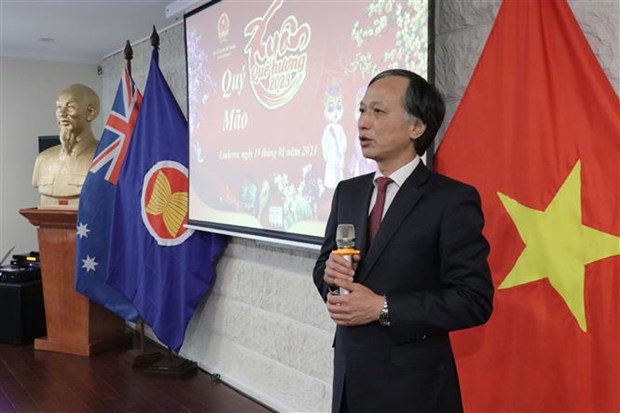 越南驻各国大使馆举行迎新春活动 共叙亲情友情乡情