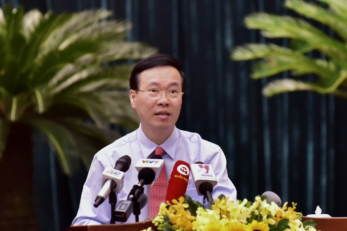 为推动胡志明市快速可持续发展创造便利条件