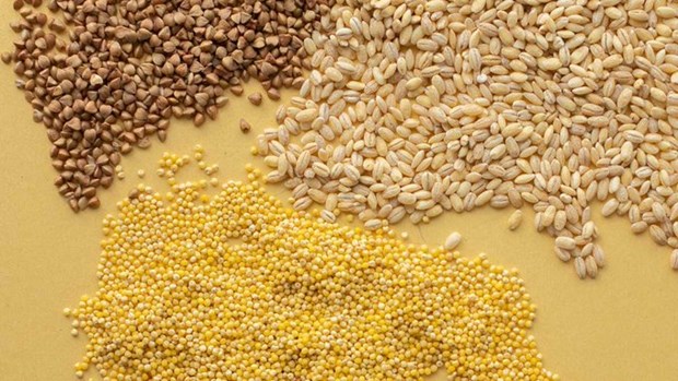 再有一家越南企业在古巴马里埃尔发展特区设立分公司