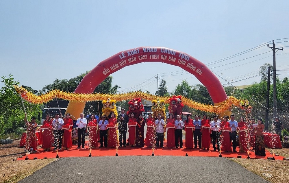 越南同奈省年初向中国出口首批香蕉