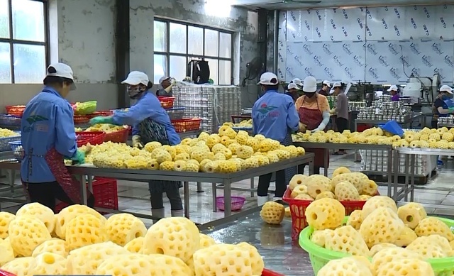 越印力推农产品和加工食品领域合作