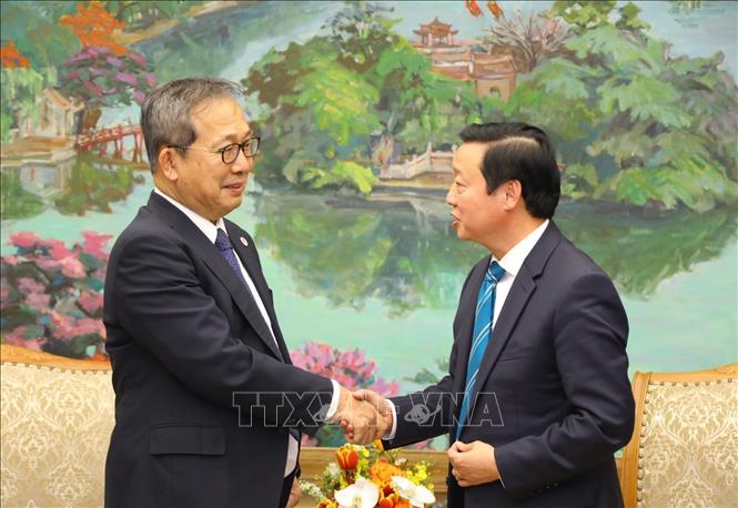 政府副总理陈红河：越南愿与日本合作履行全球承诺和目标