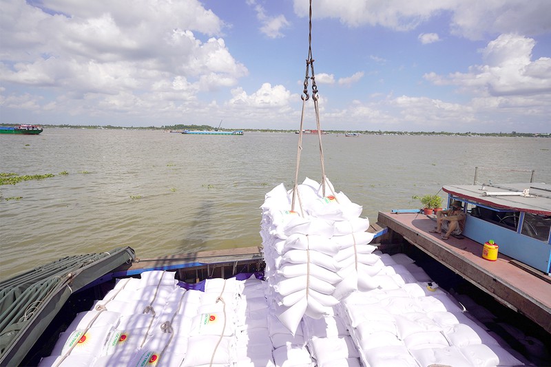 2023年越南大米出口量有望达700万吨