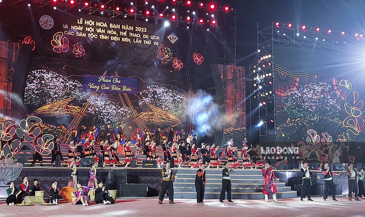 “2023年羊蹄甲花节”开幕式精彩纷呈