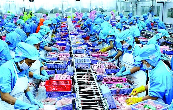 越南与印度在水产品领域的合作潜力巨大