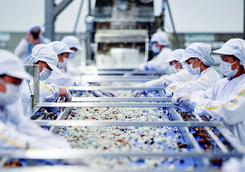 越南对东盟部分国家的出口反弹回升