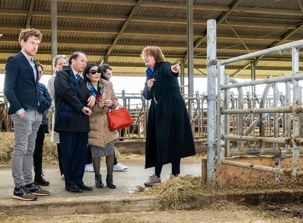 越南与荷兰各地方之间加强合作关系