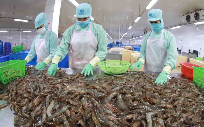 越南七种水产品获准出口中国