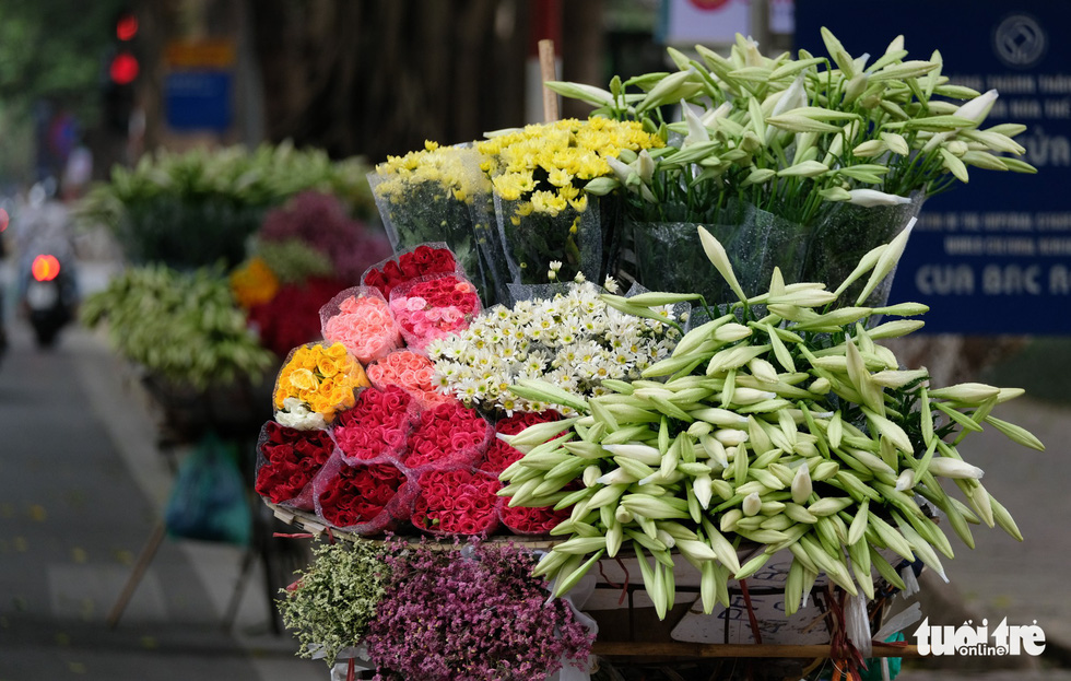 麝香百合——河内季节交替时节的美丽“倩影”