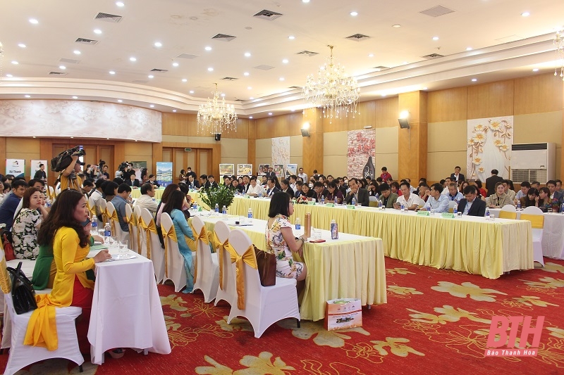 宁平-清化-义安-河静旅游促进会举行