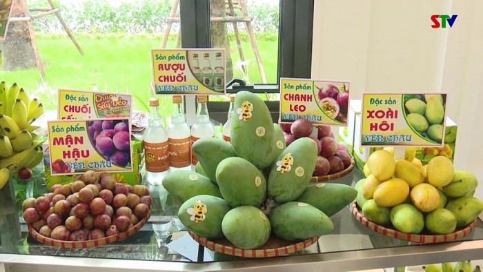 2023年山罗省力争出口1 87万吨水果