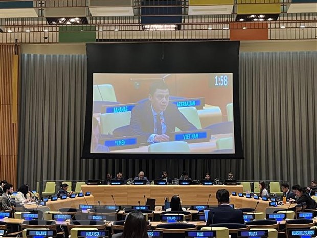 越南呼吁加强国际合作以助力中等收入国家实现可持续发展目标