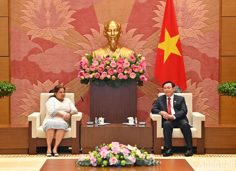 越南国会主席王廷惠会见古巴妇联总书记阿玛雷耶