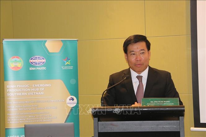 向澳大利亚企业推介越南平福省贸易投资潜力