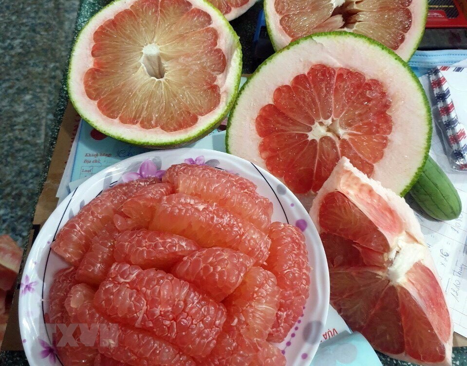 宁顺省福平柚子获得出口美国的代码