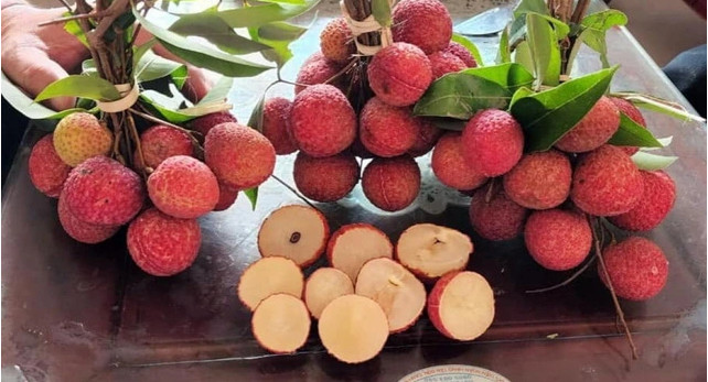 清化省无核荔枝远销日本和英国