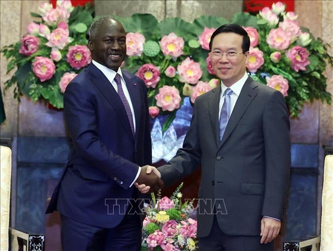 越南优先促进与科特迪瓦的经贸合作关系